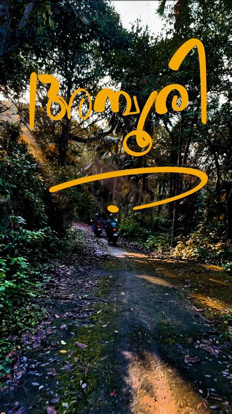 KJ's Travel Tales | Uncovering Hidden Gems: Amboori Village, Kerala