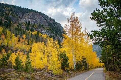 Home - Frisco Town Government