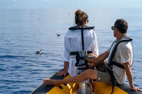 Whale Watching in the Azores Islands, Portugal