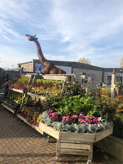 The Langton Greenhouse and Garden Centre - East Langton - Nextdoor