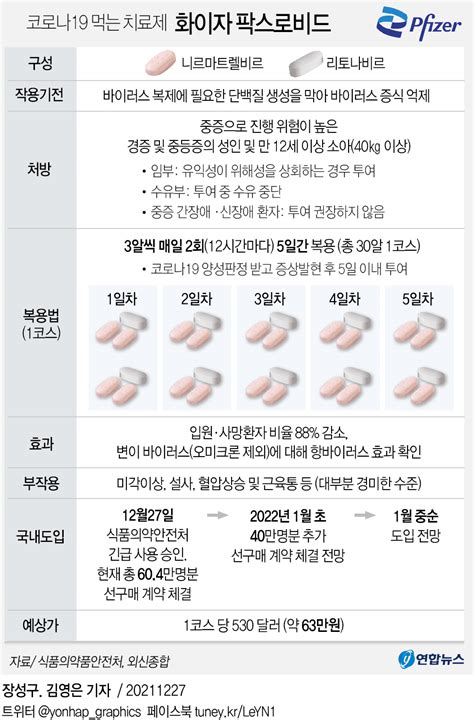 그래픽 코로나19 먹는 치료제 화이자 팍스로비드 연합뉴스