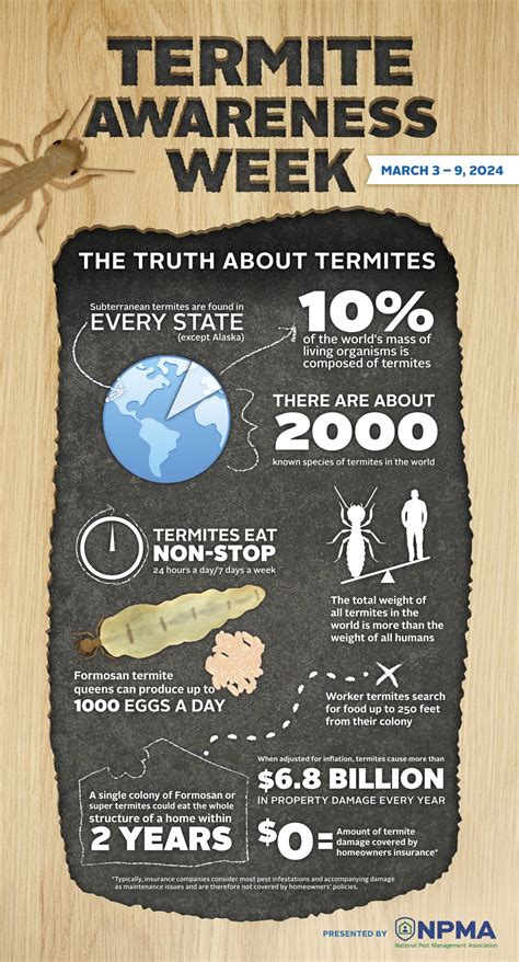 Termite Facts - Reliable Exterminators