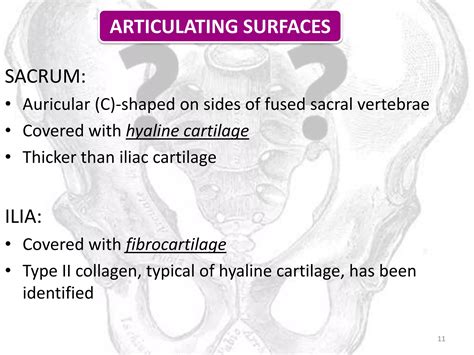 Biomechanics of si joint | PPTX