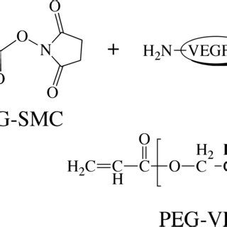 A Chemical Synthesis Of Poly Ethylene Glycol Diacrylate B