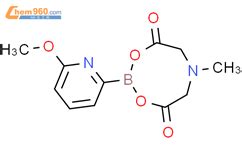 6 甲氧基吡啶 2 硼酸甲基亚氨基二乙酸酯 6 Methoxypyridine 2 boronic acid MIDA ester