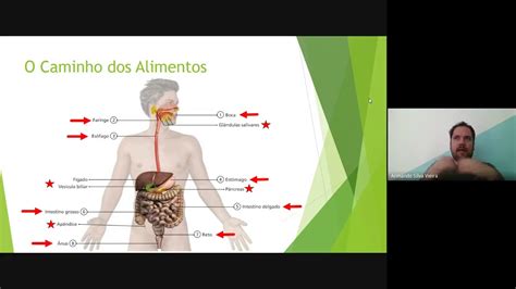 Caminho Do Alimento No Sistema Digestivo - Sistema Digestório - Caminho dos Alimentos - YouTube