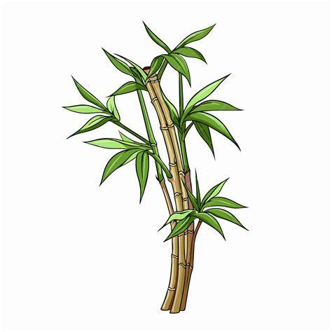 Premium Vector | Bamboo flat vector illustration bamboo cartoon hand ...