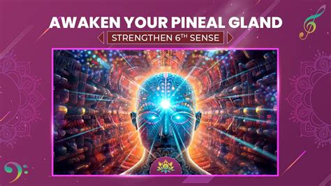 Awaken Your Pineal Gland Strengthen 6th Sense Connect With Your