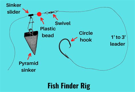 fish finder rig  setup fishing guide  pictures