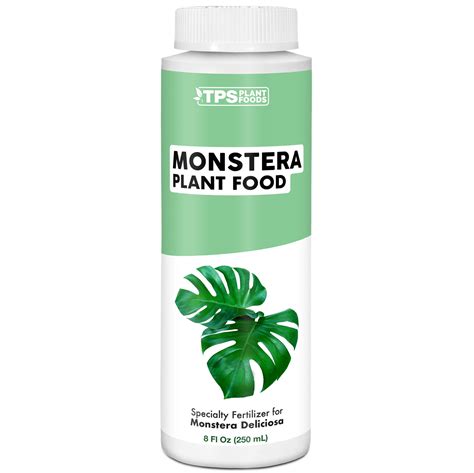 Best Fertilizer For Monstera Top Picks For Healthy And Lush Plants