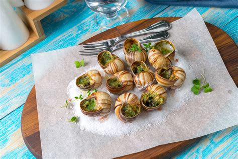 Snails Good For at Antonio Fore blog