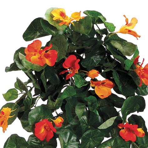 Artificial 26-inch Orange Nasturtium Trailing Bush (Set of 6) – House