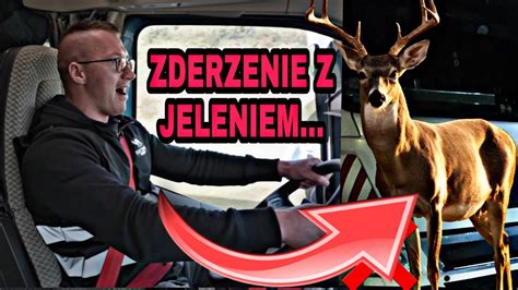 Zderzenie Z JELENIEM Praca Kierowcy Vlog YouTube