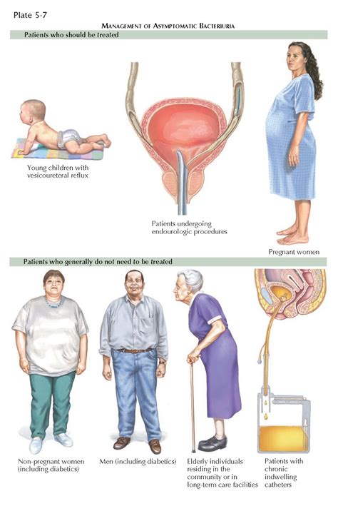 BACTERIURIA - pediagenosis