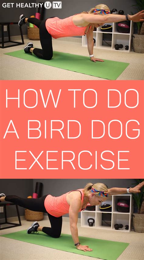 Strengthen your core with the bird dog exercise – Artofit
