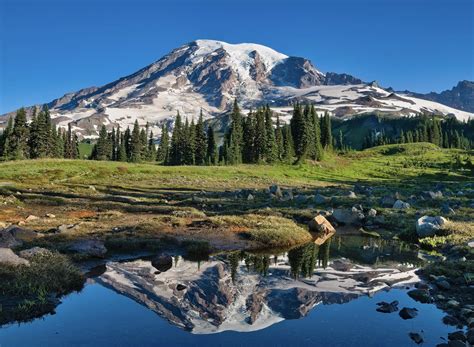 Summit Lake Mount Rainier National Park Wa Rhiking