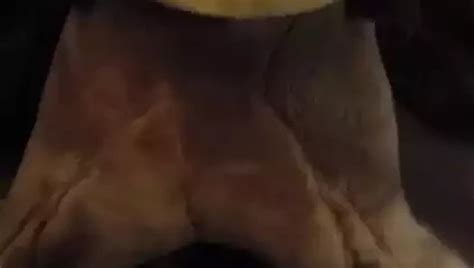 Extreme Anal Corona Cum Free Gay Porn Video 67 XHamster