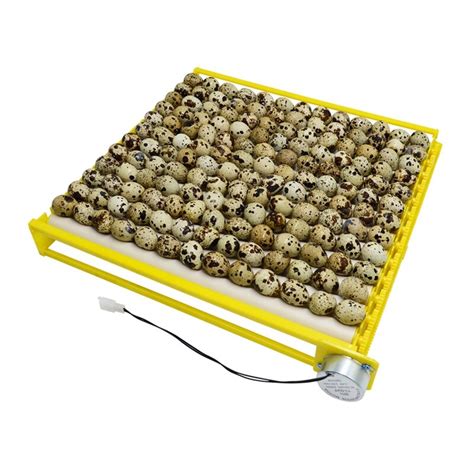 Roller Tray Automatic Turn Eggs Chicken Duck Quail Grandado