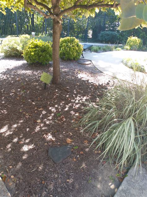 Reminder – Complete Community Green Space Survey by October 15, 2022