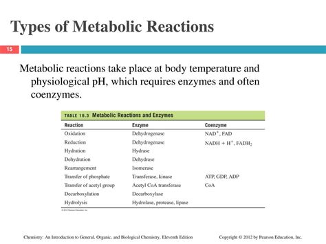 Ppt Chapter 18 Metabolic Pathways And Energy Production Powerpoint