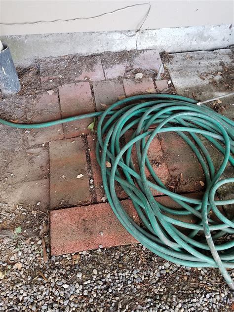 how to keep ants out the house 10