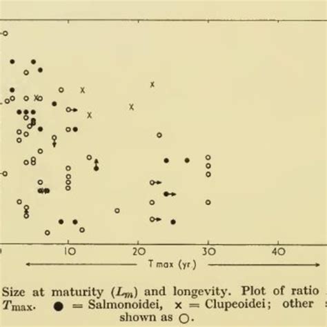 -The original first Reproductive Load (i.e. Lm/ L∞) vs Longevity (life ...