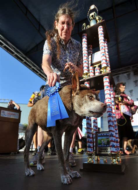 Meet The Worlds Ugliest Dog Contestants