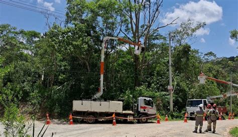 Prefeitura de Mogi das Cruzes e EDP realizarão Dia D da Poda em