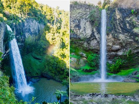 Waterfalls in Waikato That You MUST Visit • The Road Less Written