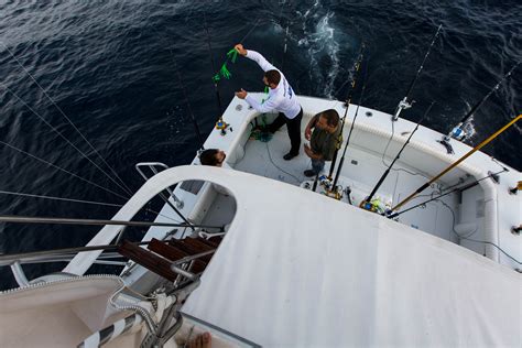 baltimore canyon marine forecast 6