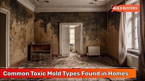 Mold Statistics Most Common Toxic Mold Types Found In Homes Mold