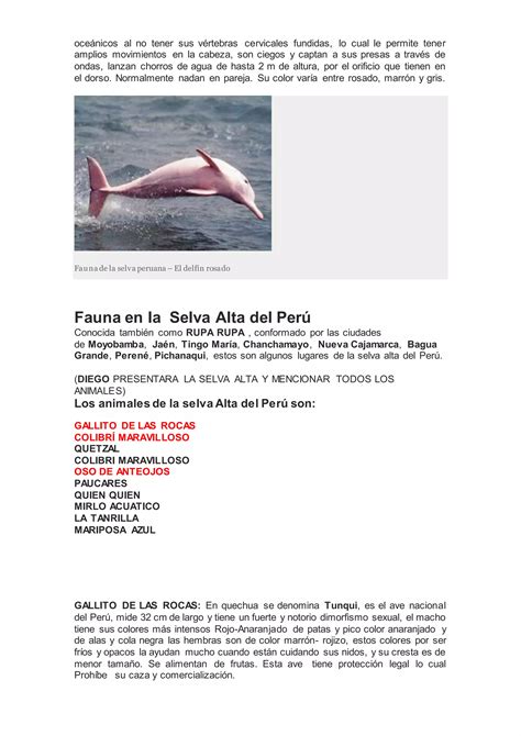 Fauna De La Selva Seca 11