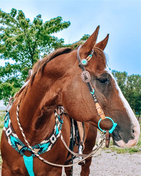 tack sets ideas barrel racing tack rodeo western horse tack