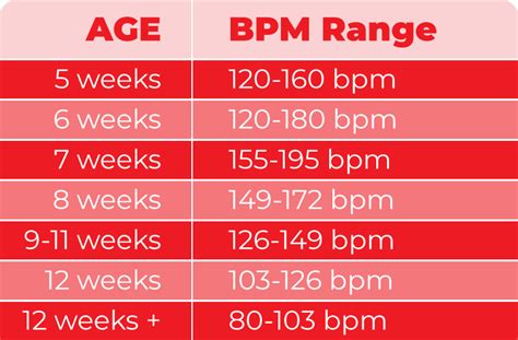 Fetal Heart Rate Monitoring Explained Cardiacdirect