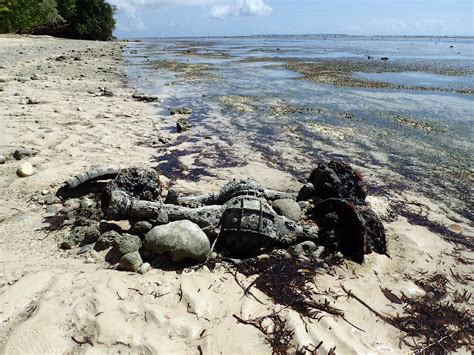 Peleliu’s Forgotten World War II Battlefield: Mission Summary: NOAA ...