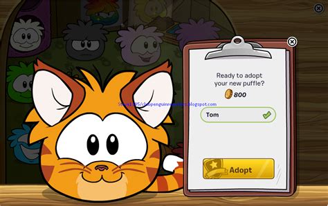 Adopt The Blue Border Collie And Orange Tabby Cat! | Club Penguin ...