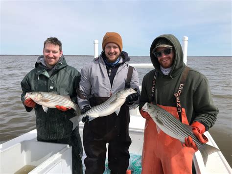 NJDEP| Fish & Wildlife | Striped Bass Conservation