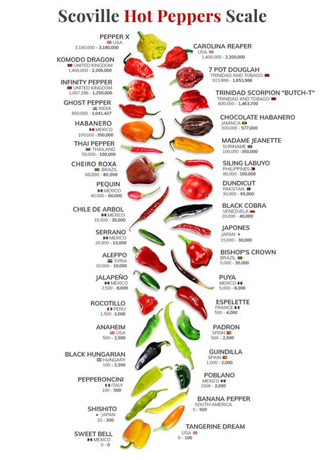 Scoville Hot Peppers Scale Poster Kitchen Wall Art Chef Gift Chili Pepper Art Chili Pepper