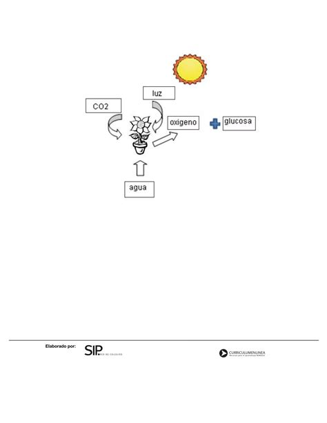 Tarea Para Realizar En Casa Pdf