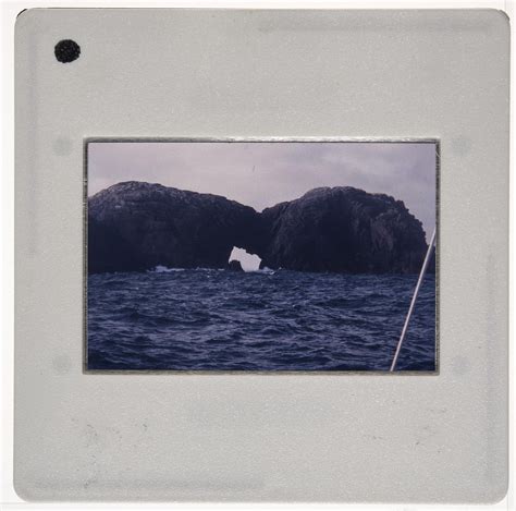 Slide: The Snares Islands, 1995 - New Zealand Maritime Museum