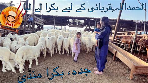 Jeddah Bakra Mandi Qurbani K Liye Bakra Liya Eid E Qurban Ki Tyari