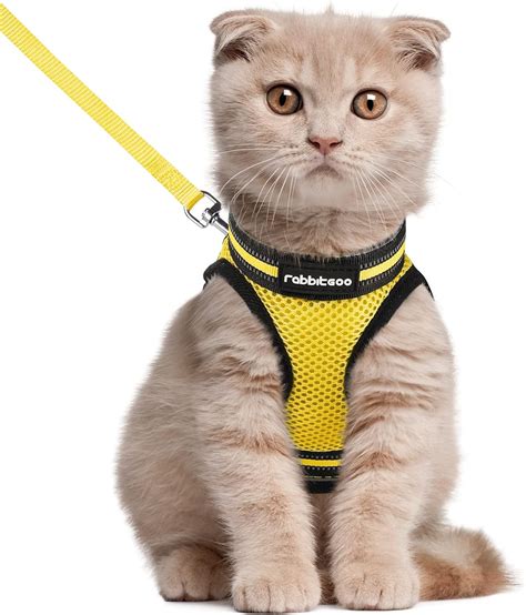 Pet Supplies Rabbitgoo Cat Harness And Leash Set For Walking Escape