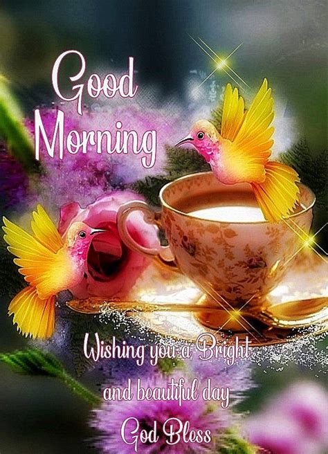 Most Good Morning at Callum Balmain blog