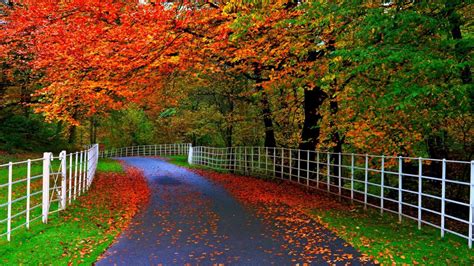 nature wallpaper hd p wallpaper