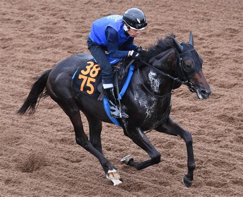 【新馬戦】アパパネの子アマキヒ 気性問題なく元気いい C・デムーロとのコンビで初戦突破へ 競馬ニュース Netkeiba