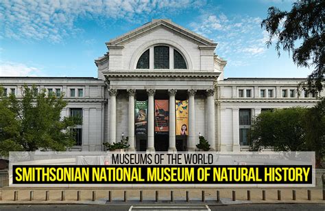 Museums Of The World Smithsonian National Museum Of Natural History