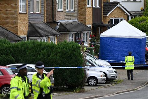 Le Suspect Du Meurtre De Trois Femmes à Bushey A été Interpellé