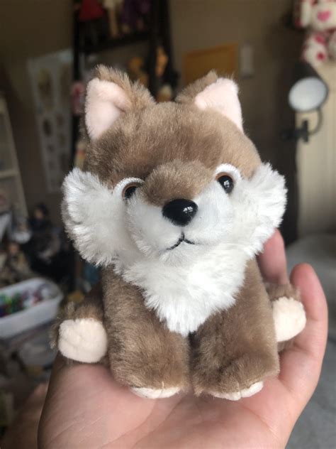 My First Ever Toreba Prize Arrived Theres One More Coming Rtoreba