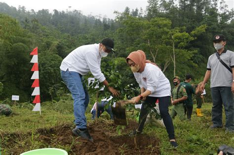 Bupati Tiwi Ayo Tanam Pohon Untuk Lestarikan Mata Air Butiwi