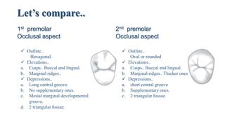 Maxillary second premolar | PPT